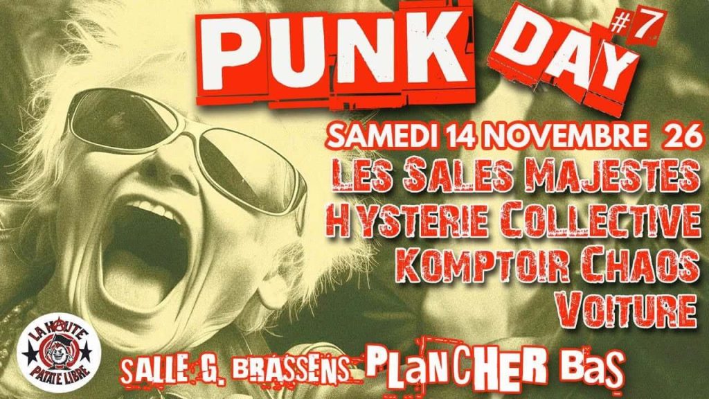 Affiche du concert des sales majestés du 14/11/2026